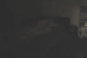 My wicked Japanese girlfriend desires me to fuck her hirsute snatch