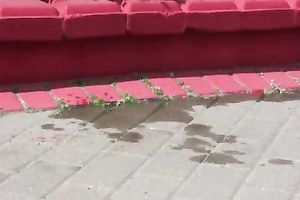 Petite brunette hair Russian hottie in public piddles in her jeans