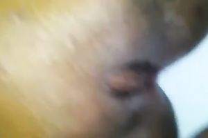 Pakistani stud fucking Bengali sweetheart in his bedroom