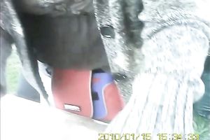 I know how to spy on hawt gals out of 'em noticing