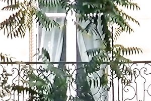 Torrid doxies have a fun outstanding fuckfest fuck with thirsting guys