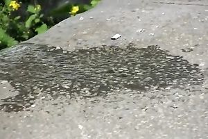 Slim dirty slut wife pees in her legging during the time that walking in the street