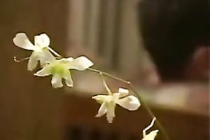 Pretty Thai sweetheart receives her bald pussy pounded valuable