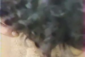 Short haired golden-haired blows large shlong standing on her knees