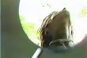 Short haired golden-haired blows large shlong standing on her knees