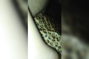 Fucking my girlfriend's appealing twat in missionary position