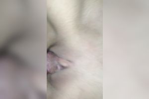 Fucking my girlfriend's appealing twat in missionary position