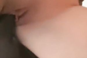 Blonde cutie sucks a dark dong and gets her smooth vag slammed