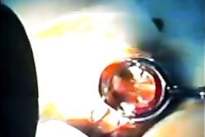 Fucking curly love tunnel of my Chinese hotwife on homemade clip