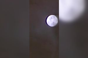 Pervert fuckfest with breasty lusty sex pots and freaky perverted studs