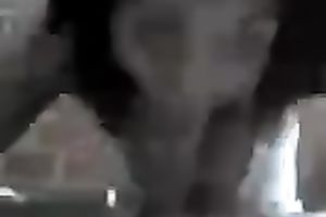 Hot youthful dark brown white bitch blows me on POV tape and shows me her wazoo