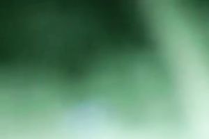 I may like it from behind but I did not appear to be that impressed by what that guy is doing to me