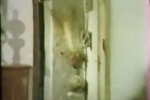 Buxom blond diva needs a guy to fuck her clam hard