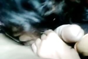 Cute Indian youthful playgirl gobbles my powerful shlong on web camera