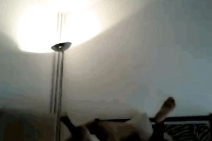 Horny dark man copulates my moist slit in missionary position