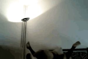 Horny dark man copulates my moist slit in missionary position