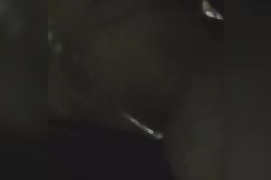 Geek and slender Asian GF receives group-fucked in her pussy by a ally