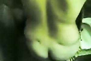 Just a miniature Indian milf showing her pantoons in the latrine