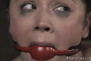 Sweet brunette hair white women with handsome body is tortured hard