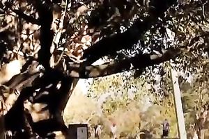 I just can't live without teasing my wet vagina on a tree trunk