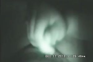 My corpulent girlfriend truly knows how to give a ideal cook jerking