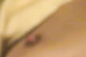 My slutwife wearing nylons shows her milk shakes and curly snatch for the web camera