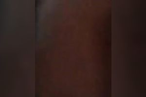 When that babe rides me backwards I forget all my problems