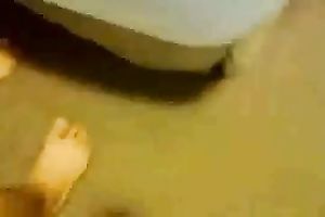 My comely Latina girlfriend knows how to give a great head