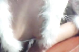 My breathtaking golden-haired GF demonstrates her body for the livecam