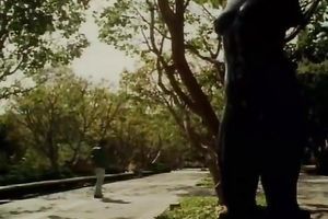 Horny brunette floozy fucks a chap from fraternity outdoors