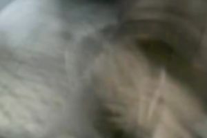 49 year old Filipino woman shows off her large scoops on webcam