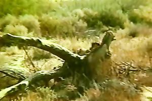 Delightful blond playgirl knows how to take a pleasure