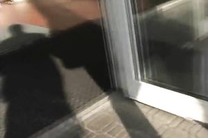 Shy four-eyed dark brown goes avid during the time that seeing my penis