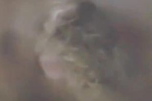 Adorable classic blond gives blow job to a duet of studs