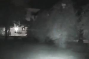 I filmed one lascivious pair fucking below the screen of night