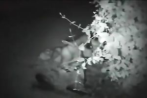 I filmed one lascivious pair fucking below the screen of night