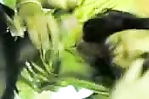 Indian dilettante sexy hotwife blows my dark ramrod on POV movie scene