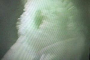 Stripping and playing