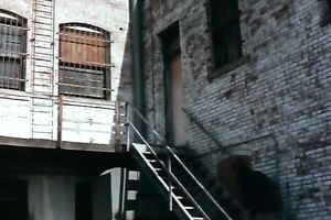 Terrific lengthy haired blondie receives her bushy cookie screwed hard