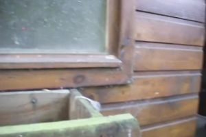 Cock-sucking act with insatiable dark hussy Sheyla