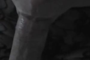 Amazing POV action with my blindfolded BBC slut sucking my shlong
