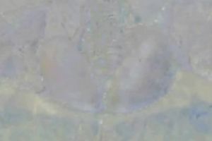 Skinny freaky white lady with a large sex toy pleasing herself on web camera